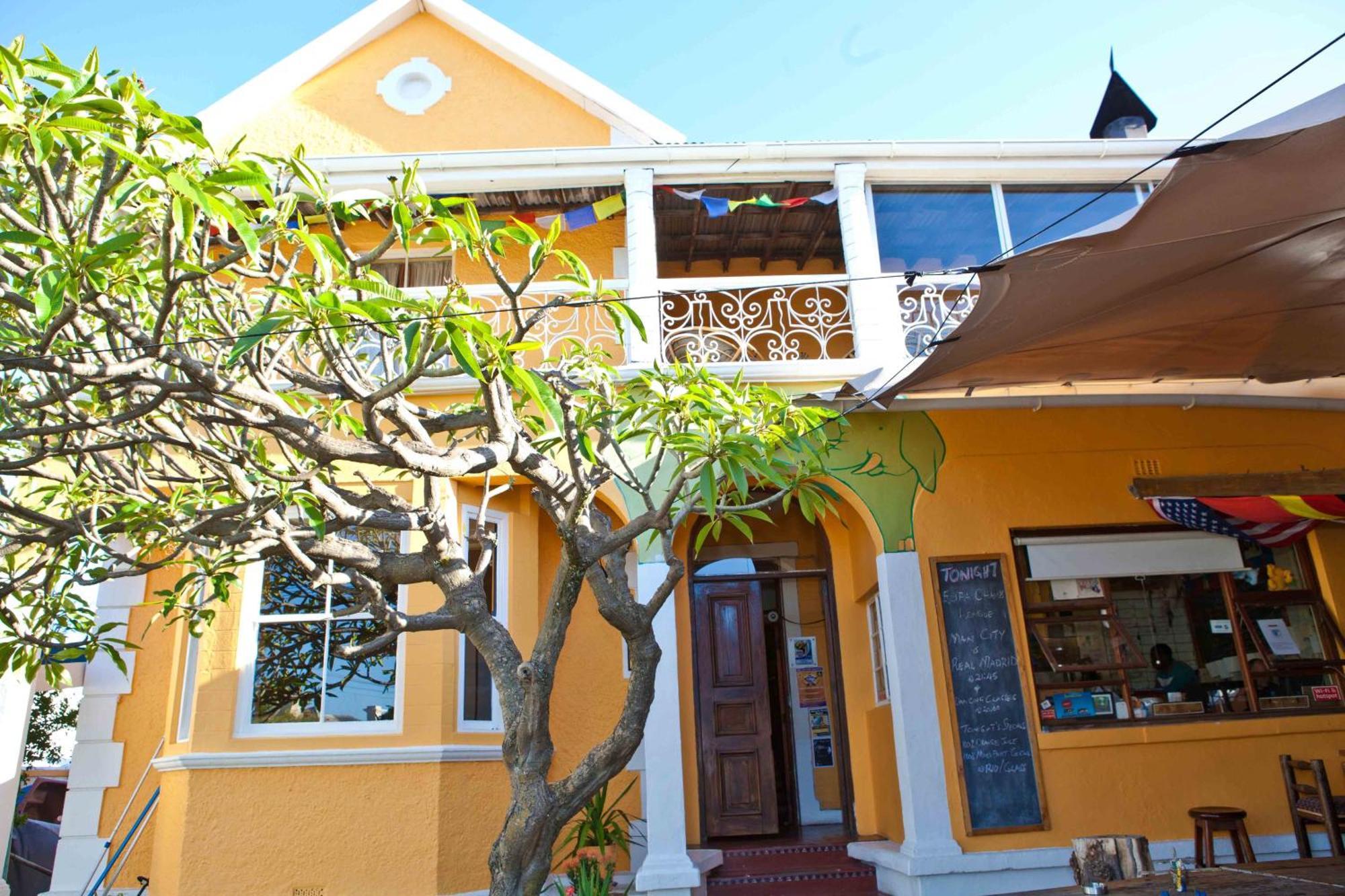 קייפטאון Green Elephant Backpackers מראה חיצוני תמונה