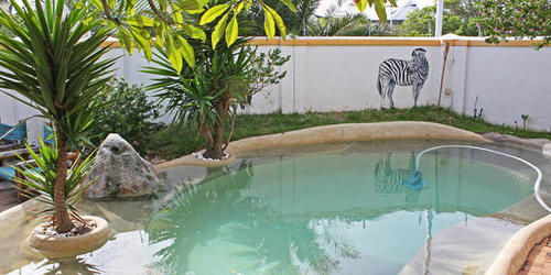 קייפטאון Green Elephant Backpackers מראה חיצוני תמונה